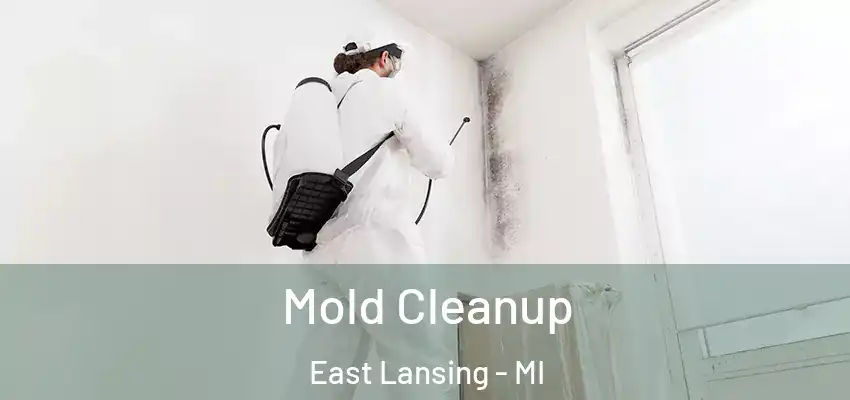  Mold Cleanup East Lansing - MI