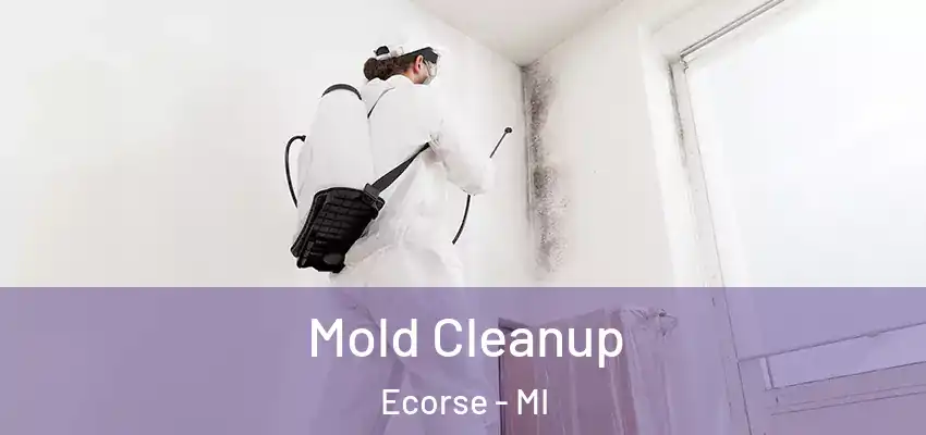  Mold Cleanup Ecorse - MI