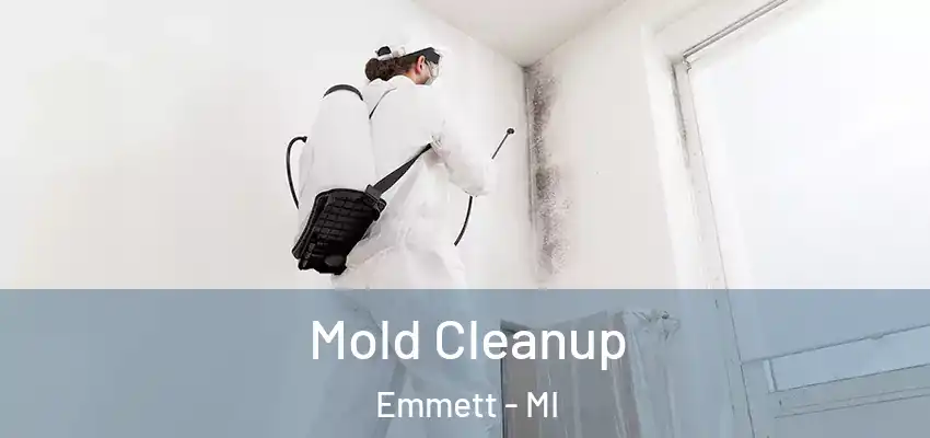  Mold Cleanup Emmett - MI
