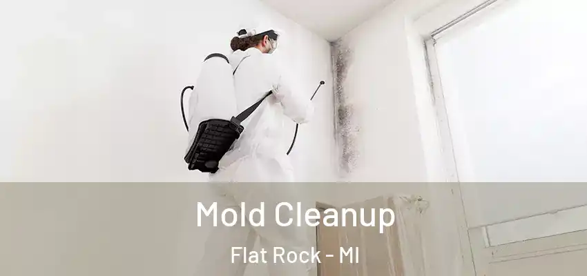  Mold Cleanup Flat Rock - MI