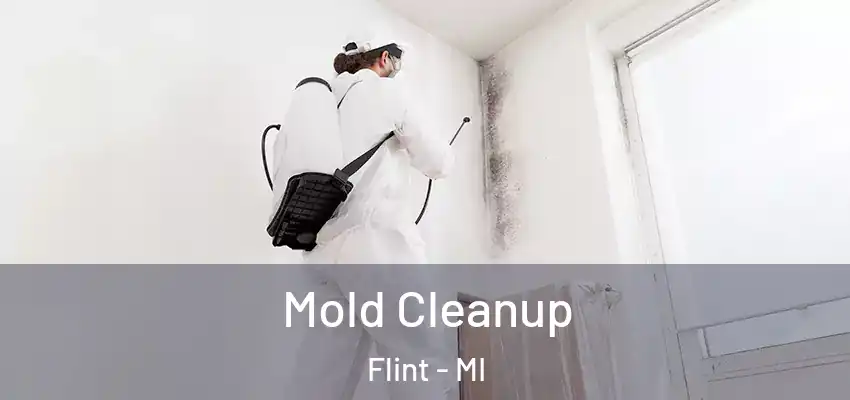  Mold Cleanup Flint - MI
