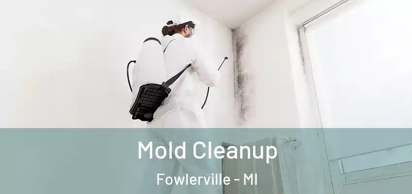  Mold Cleanup Fowlerville - MI