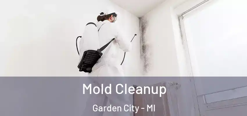  Mold Cleanup Garden City - MI