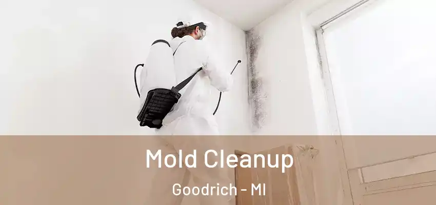  Mold Cleanup Goodrich - MI