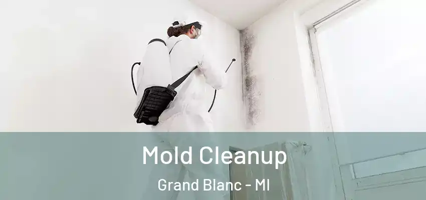  Mold Cleanup Grand Blanc - MI
