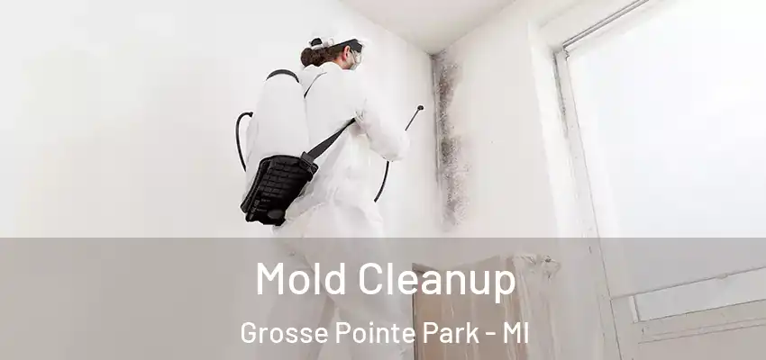  Mold Cleanup Grosse Pointe Park - MI