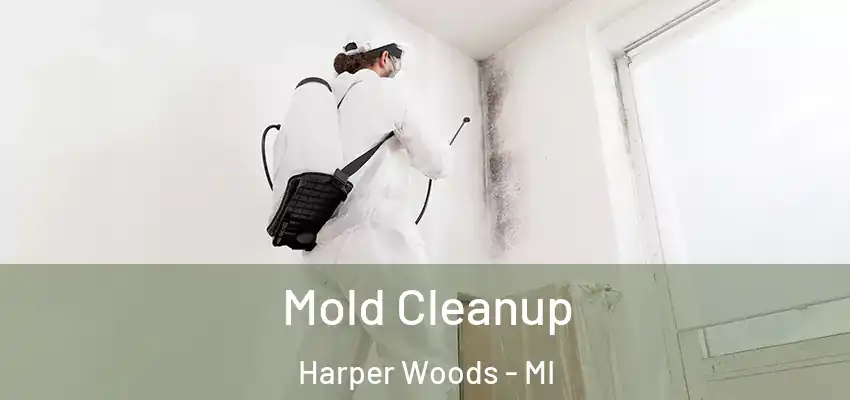  Mold Cleanup Harper Woods - MI