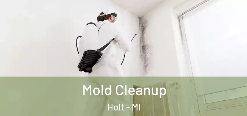 Mold Cleanup Holt - MI