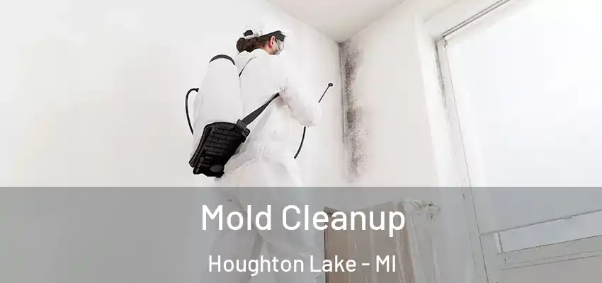 Mold Cleanup Houghton Lake - MI