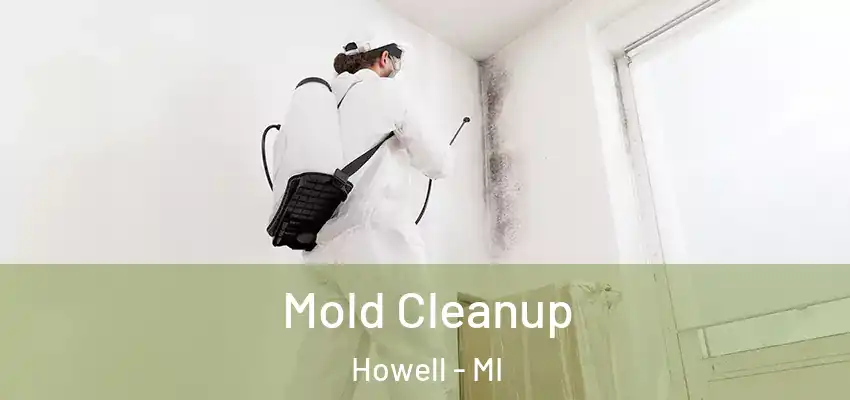  Mold Cleanup Howell - MI