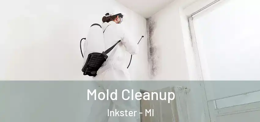  Mold Cleanup Inkster - MI