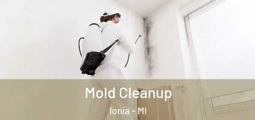  Mold Cleanup Ionia - MI