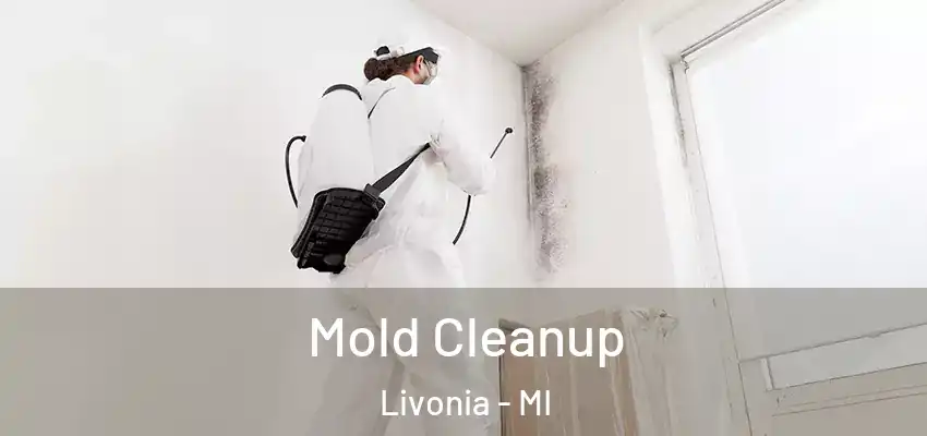  Mold Cleanup Livonia - MI