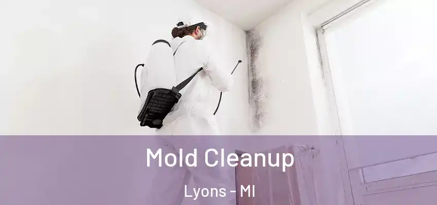 Mold Cleanup Lyons - MI