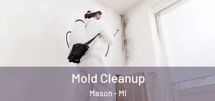 Mold Cleanup Mason - MI