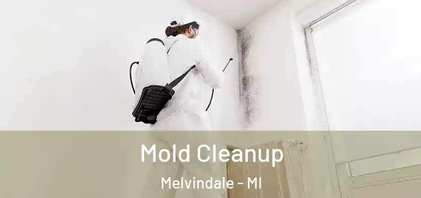 Mold Cleanup Melvindale - MI