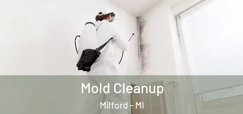  Mold Cleanup Milford - MI