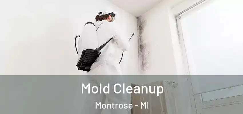  Mold Cleanup Montrose - MI