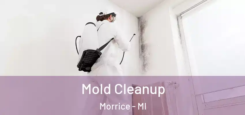  Mold Cleanup Morrice - MI