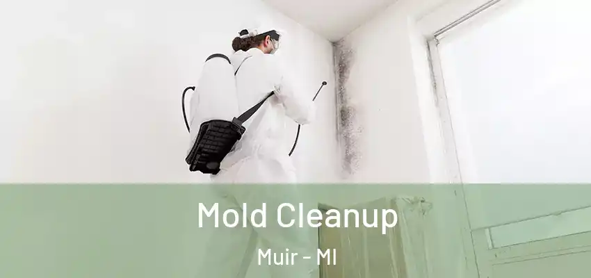  Mold Cleanup Muir - MI