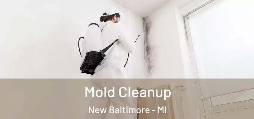  Mold Cleanup New Baltimore - MI