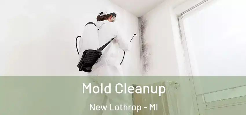  Mold Cleanup New Lothrop - MI
