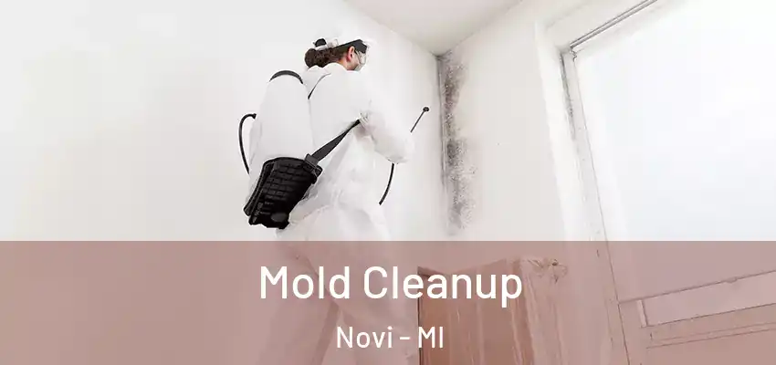  Mold Cleanup Novi - MI
