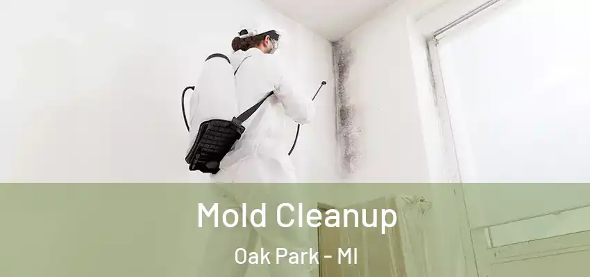  Mold Cleanup Oak Park - MI