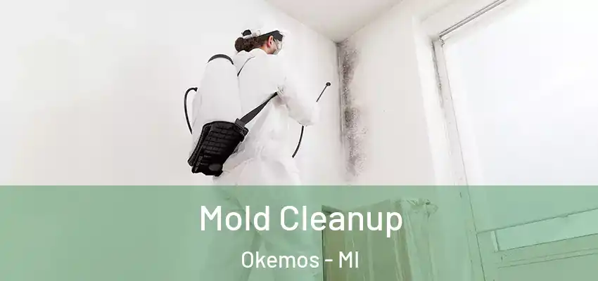  Mold Cleanup Okemos - MI