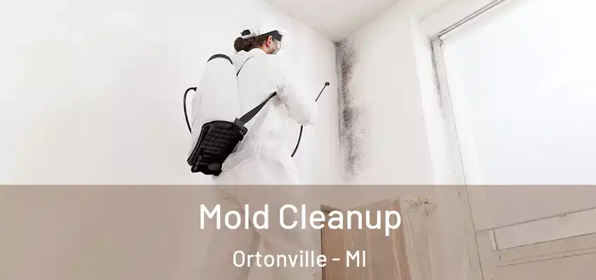 Mold Cleanup Ortonville - MI