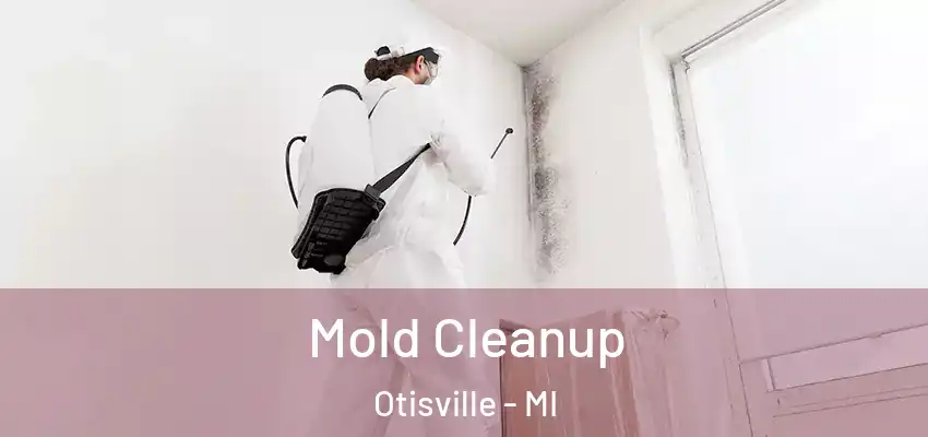  Mold Cleanup Otisville - MI