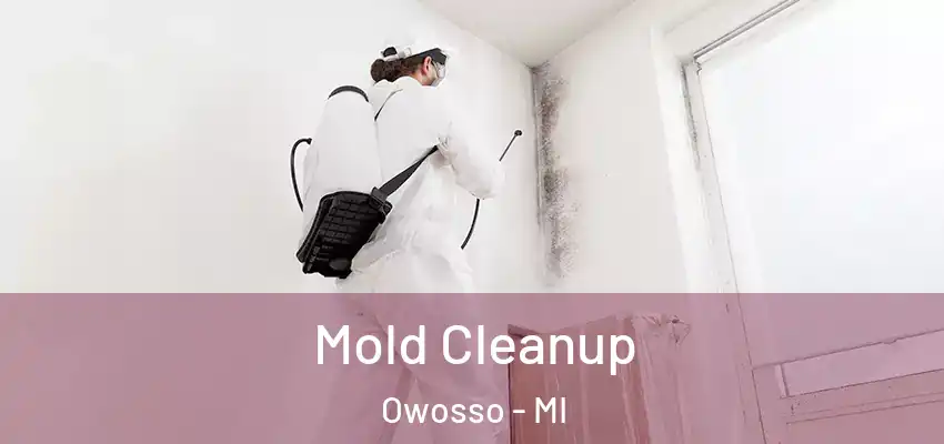 Mold Cleanup Owosso - MI