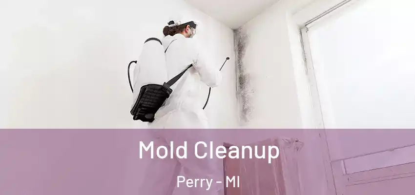 Mold Cleanup Perry - MI