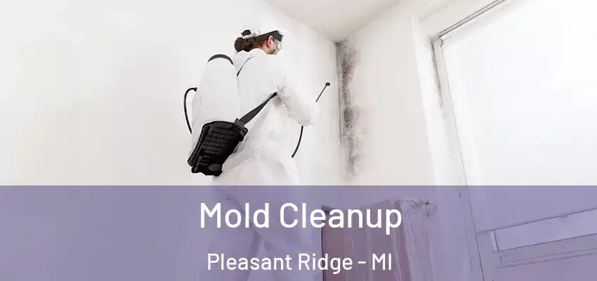  Mold Cleanup Pleasant Ridge - MI