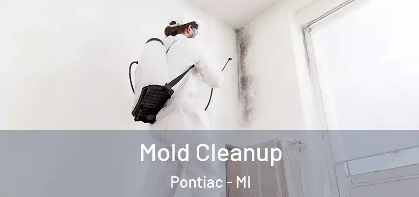  Mold Cleanup Pontiac - MI