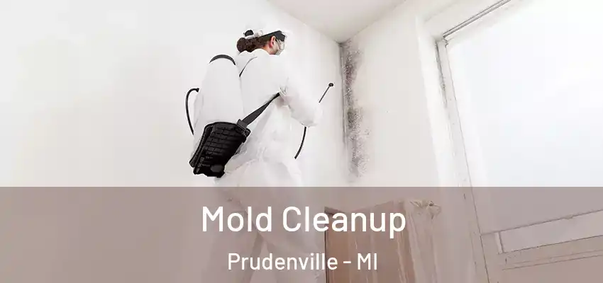  Mold Cleanup Prudenville - MI