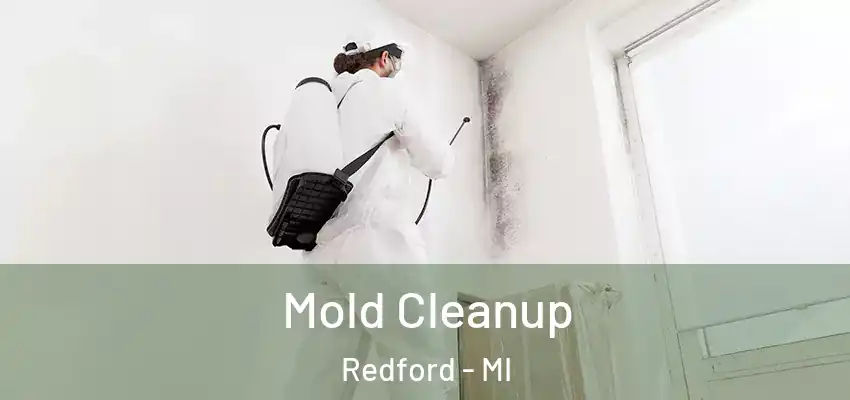  Mold Cleanup Redford - MI