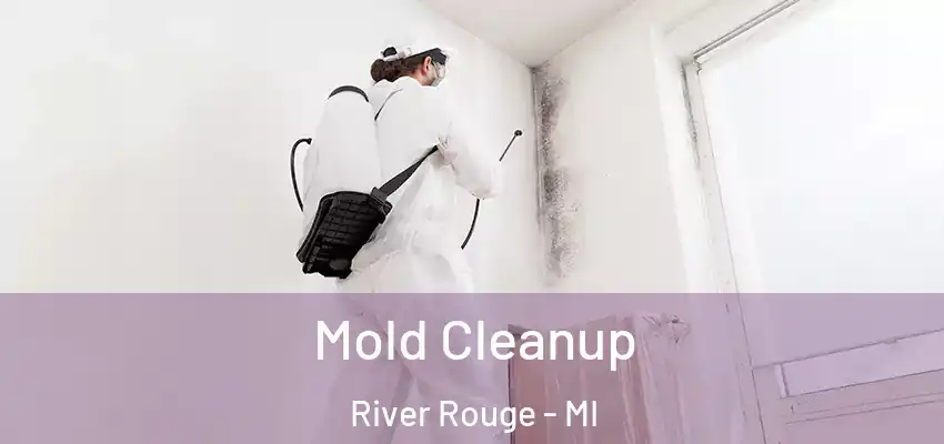  Mold Cleanup River Rouge - MI