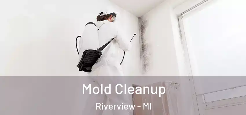 Mold Cleanup Riverview - MI