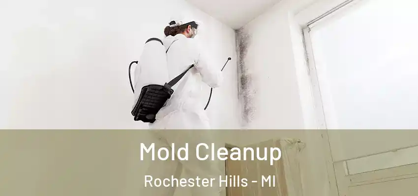  Mold Cleanup Rochester Hills - MI