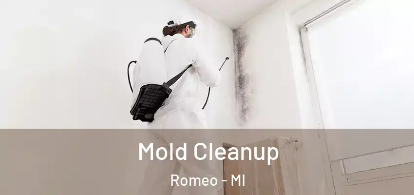  Mold Cleanup Romeo - MI