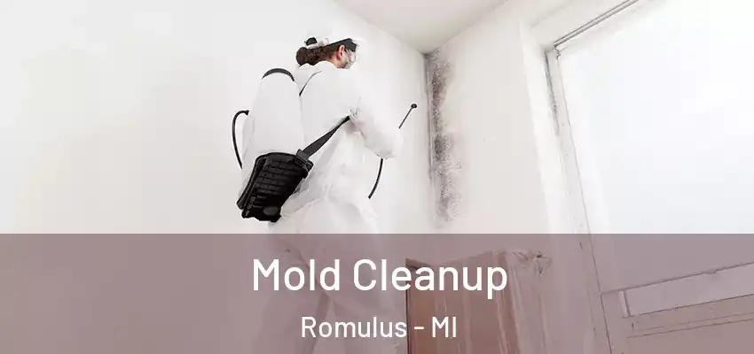  Mold Cleanup Romulus - MI