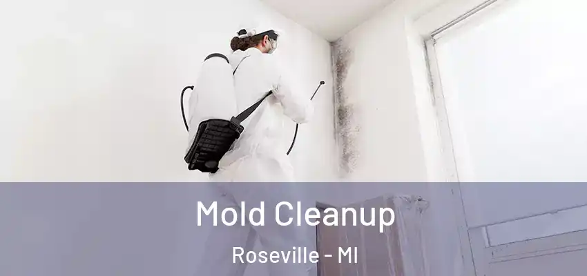  Mold Cleanup Roseville - MI