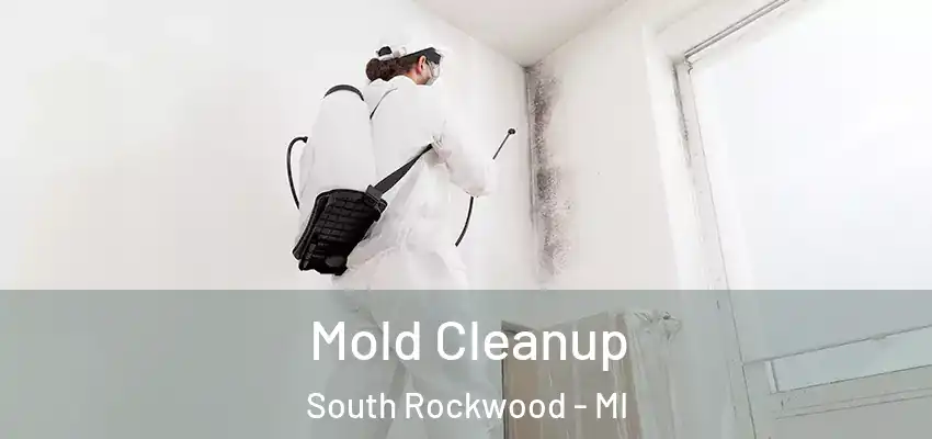  Mold Cleanup South Rockwood - MI