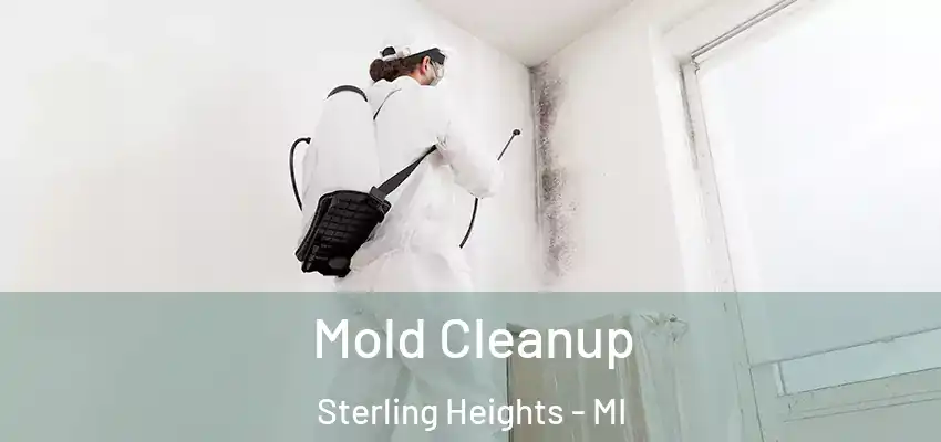 Mold Cleanup Sterling Heights - MI