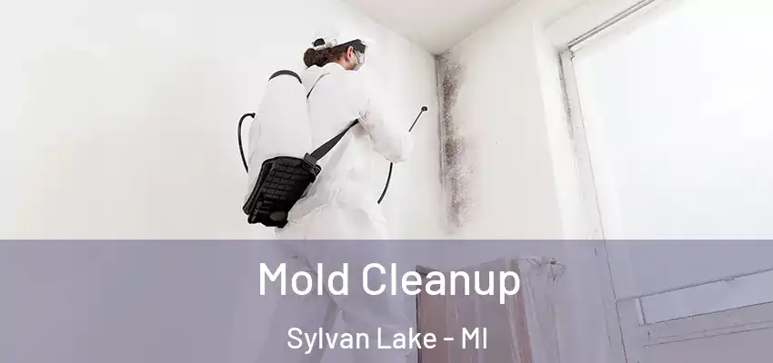  Mold Cleanup Sylvan Lake - MI