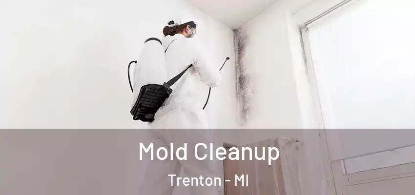  Mold Cleanup Trenton - MI