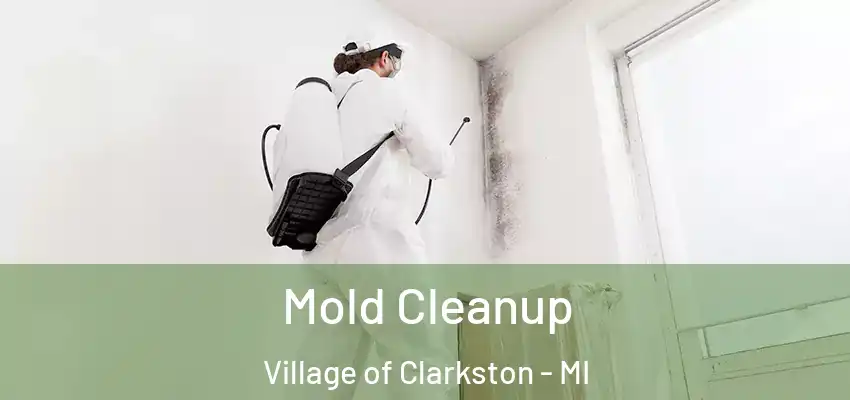  Mold Cleanup Village of Clarkston - MI