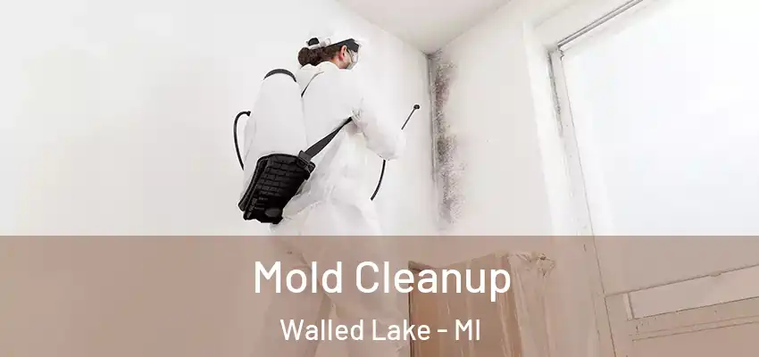  Mold Cleanup Walled Lake - MI
