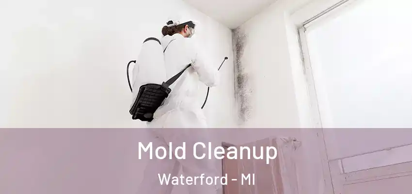  Mold Cleanup Waterford - MI